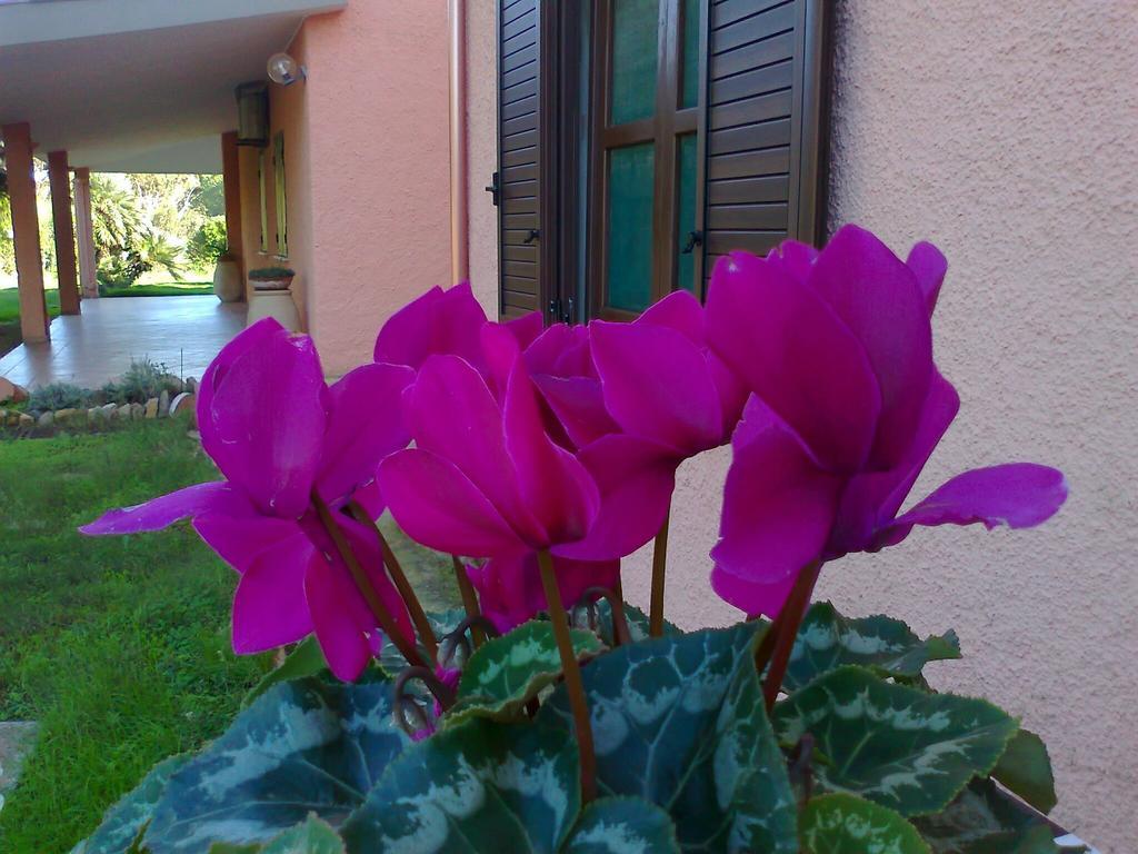 Su Giudeu Hotel